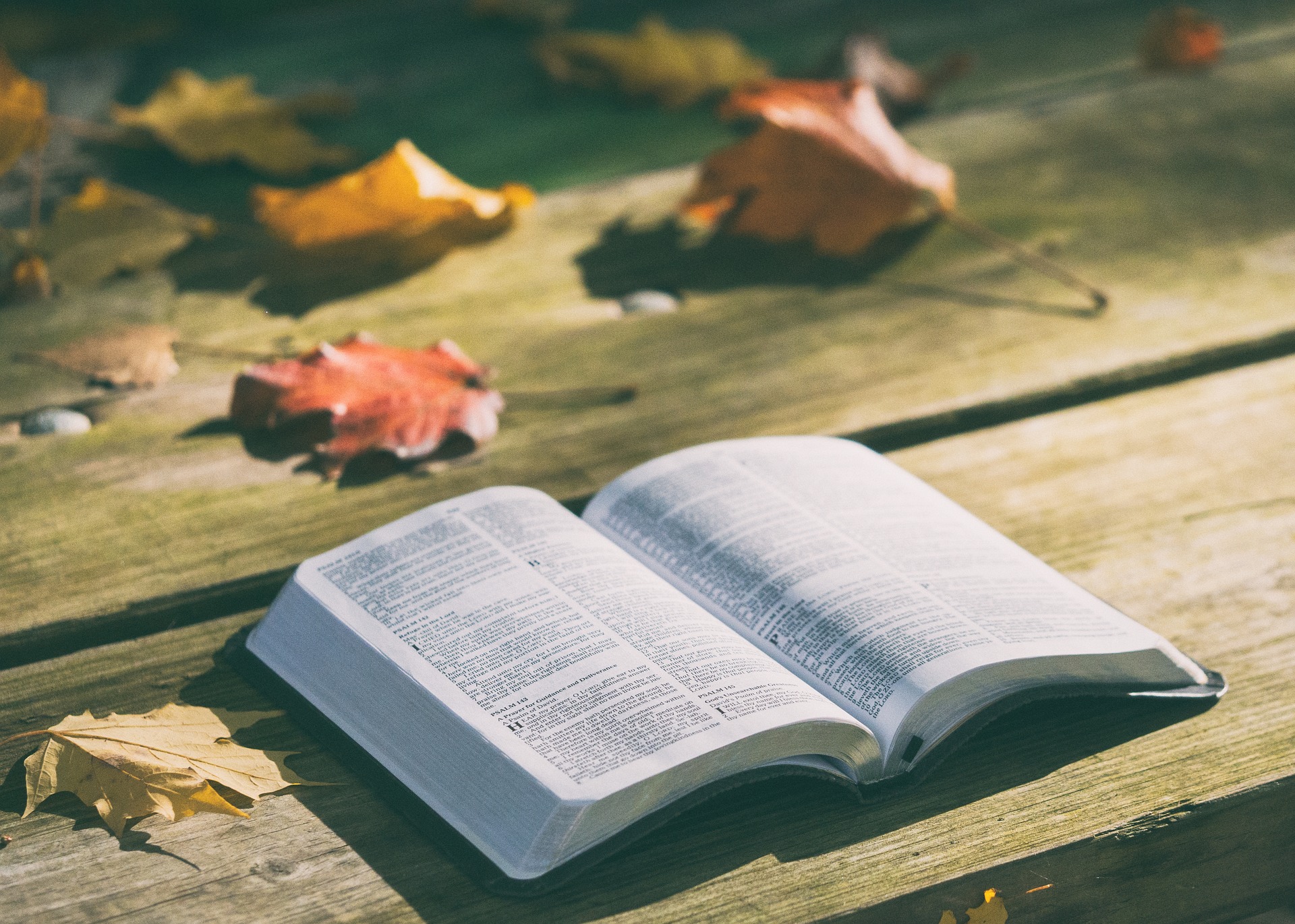 Studying Scripture to Hear God's Voice